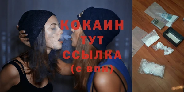 apvp Богородицк
