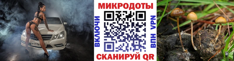 Псилоцибиновые грибы мицелий  Северск 